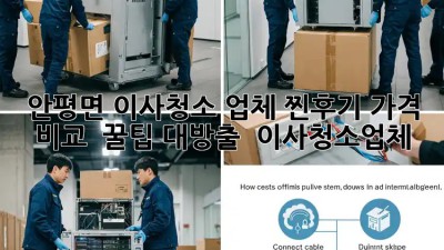 ✨ 안평면 이사청소 업체 찐후기! 가격 비교 & 꿀팁 대방출 🏡 #이사청소업체